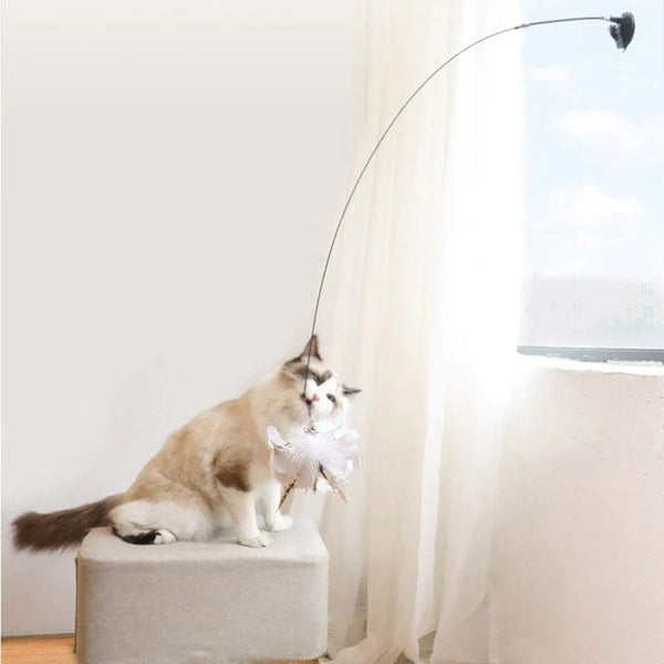 Vogeltje | Kattenspeeltje in , – Huisdierentempel