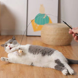 Vogeltje | Kattenspeeltje in , – Huisdierentempel