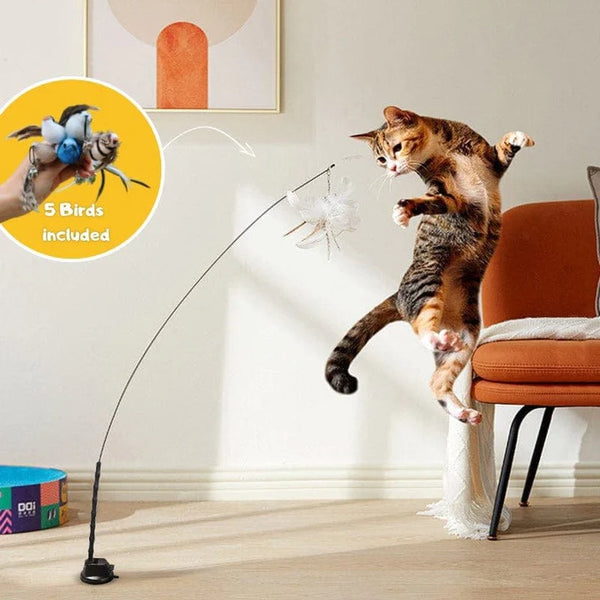 Vogeltje | Kattenspeeltje in , – Huisdierentempel