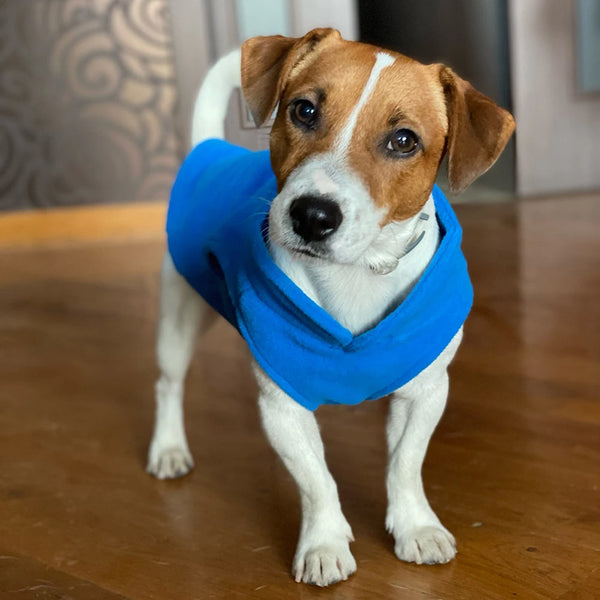Wilma | hondenvest