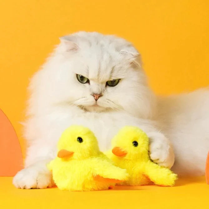 Ducky | flappend speelgoed | Bewegend kattenspeelgoed | katten, Spelen | Huisdierentempel