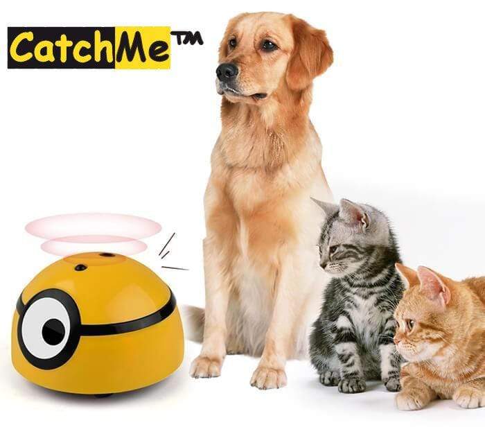 CatchMe™ Tracker | Bewegend speelgoed | Honden, katten, spelen | Huisdierentempel