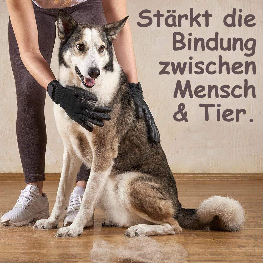 CleanPet® Handschoenen - Houd uw handen schoon en beschermd (1 paar)