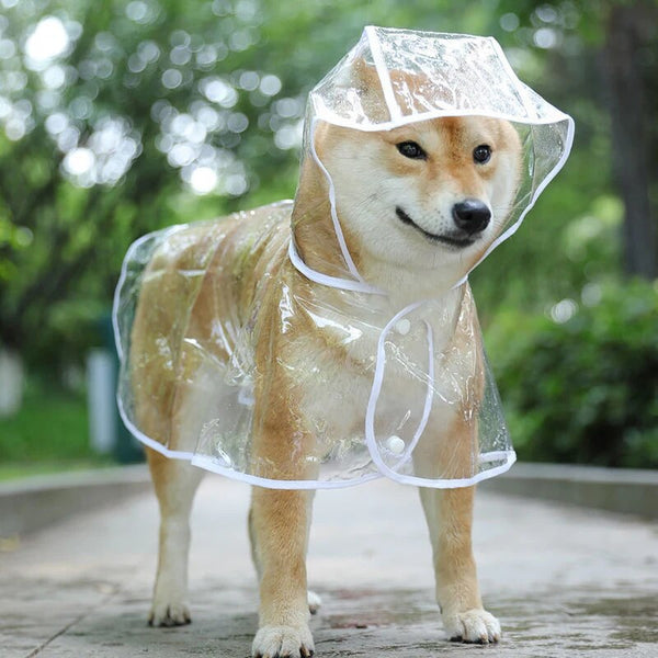 Lotje | Regenponcho voor honden