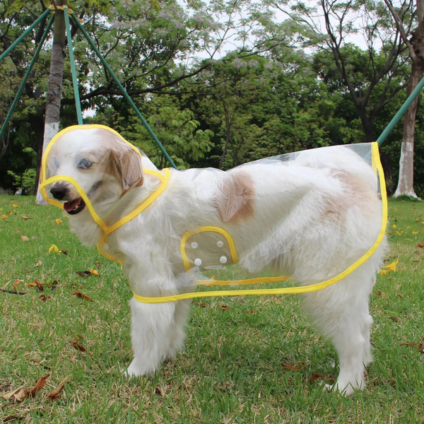 Lotje | Regenponcho voor honden