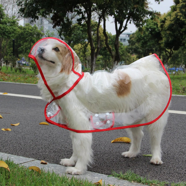 Lotje | Regenponcho voor honden