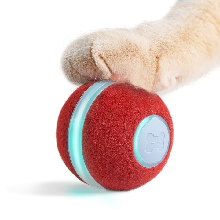 Cheerble® Bal 2.0 - Het Ultieme Interactieve Speelgoed voor Jouw Perfecte Vriend | Bewegend speelgoed | honden, Katten, spelen, training | Huisdierentempel