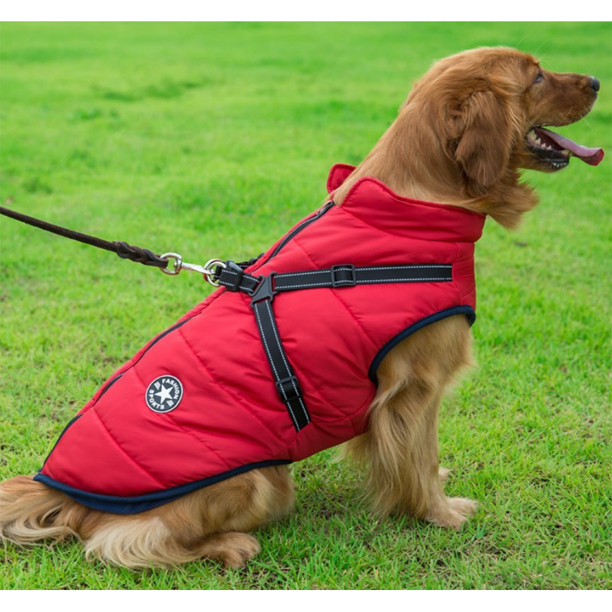 Waterdicht Groen Jas Harnas voor Actieve Honden