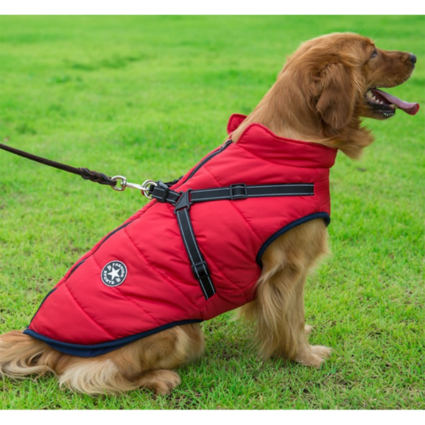 Waterdicht Groen Jas Harnas voor Actieve Honden