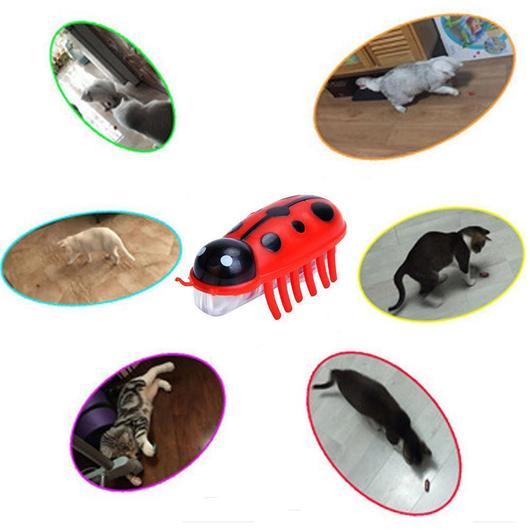 Kattenspeelgoed: Robotkever