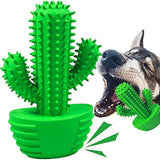 Cactus Tandenborstel Stick | Tandverzorgingsproducten | honden, Verzorging | Huisdierentempel