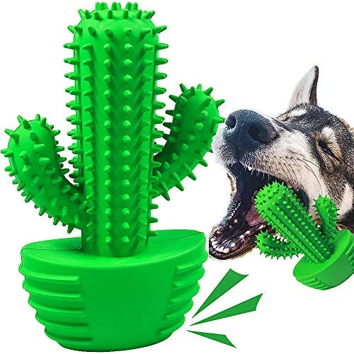 Cactus Tandenborstel Stick | Tandverzorgingsproducten | honden, Verzorging | Huisdierentempel