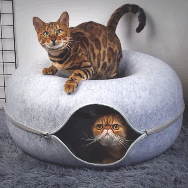 Maya | Katten bed & speelhuis | Kattenmand | bedden, katten, Spelen | Huisdierentempel