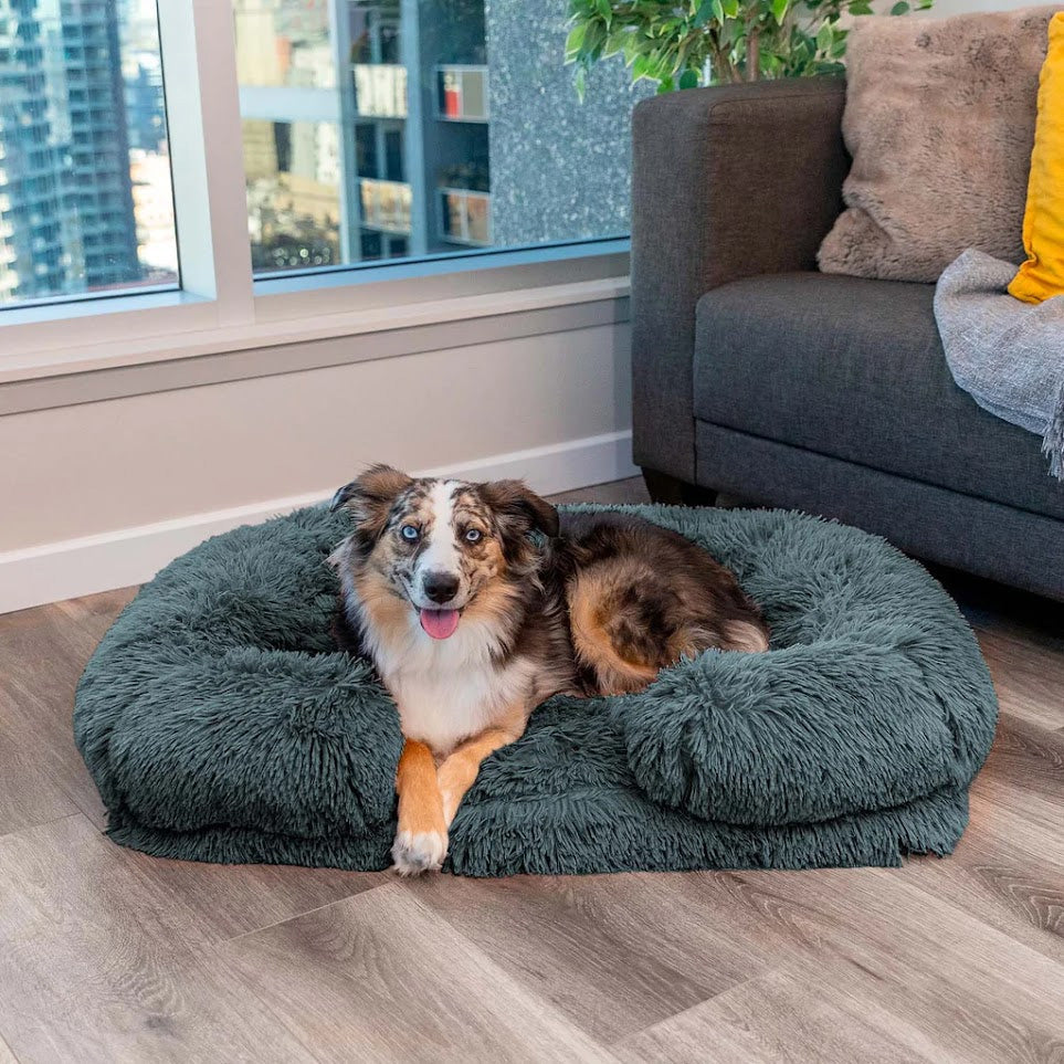 Max | Kalmerend Bed (Memory Foam) | Hondenmand | bedden, honden, Manden | Huisdierentempel