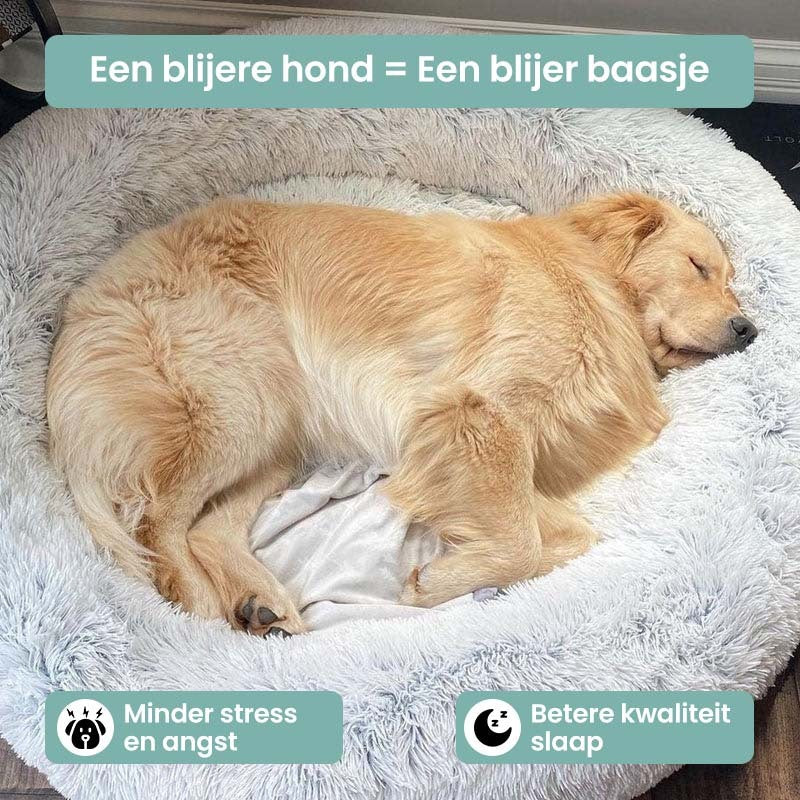 Bello | Knuffelbed in , – Huisdierentempel