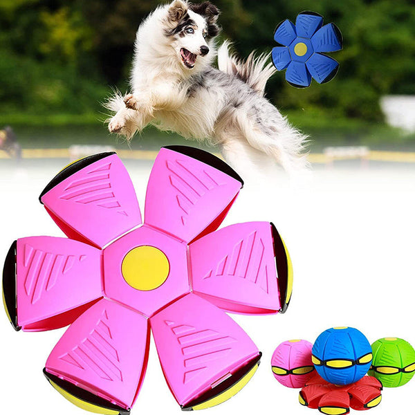 Milo | Frisbeebal