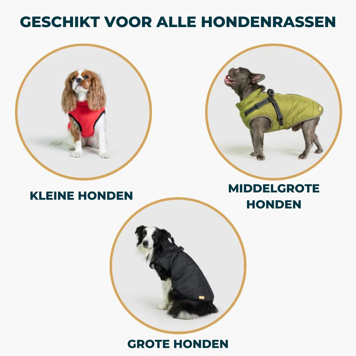 Sandy | hondenjas met Ingebouwd harnas