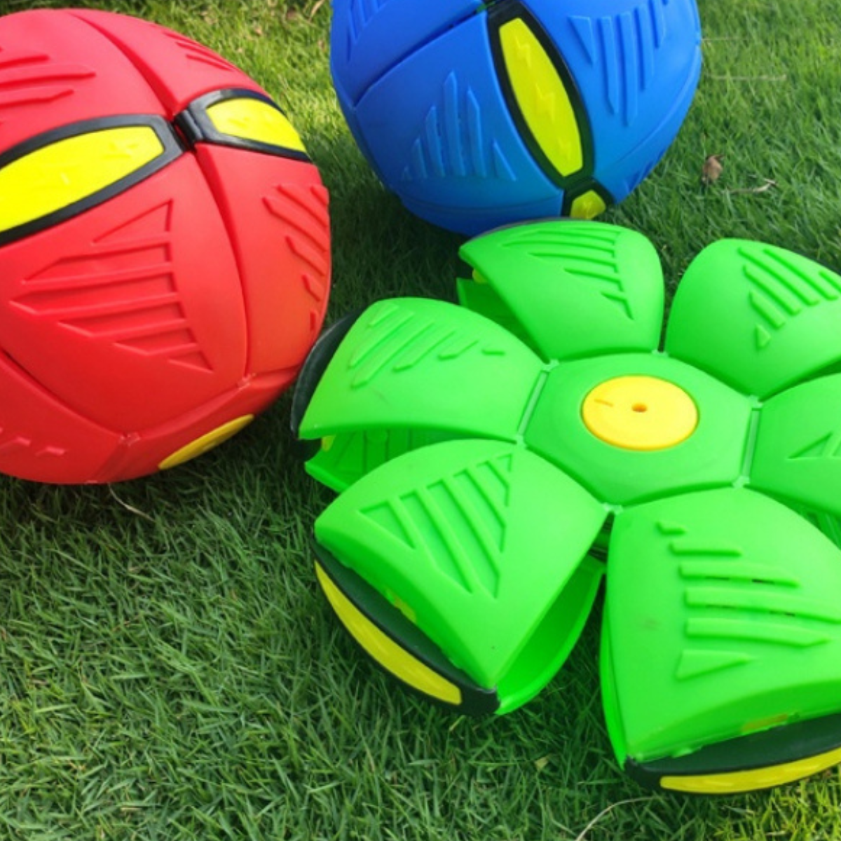 Milo | Frisbeebal