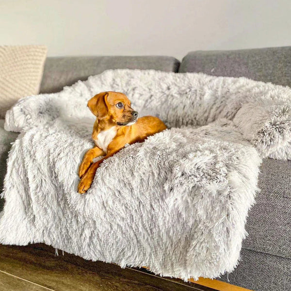 Luna | Grootte Meubelbeschermer en Hondenmand