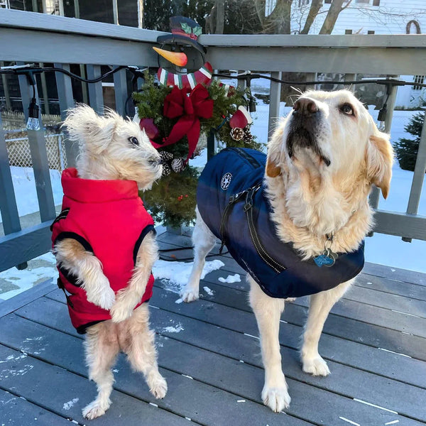Sandy | hondenjas met Ingebouwd harnas | Hondenjas | honden, kleding, Riem en accesoires, Wandelen | Huisdierentempel
