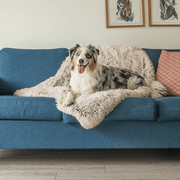 Buddy | Kalmerende Deken